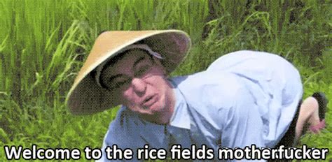 When That Motherfucker You Invited To The Rice Field Shows Up Album On Imgur