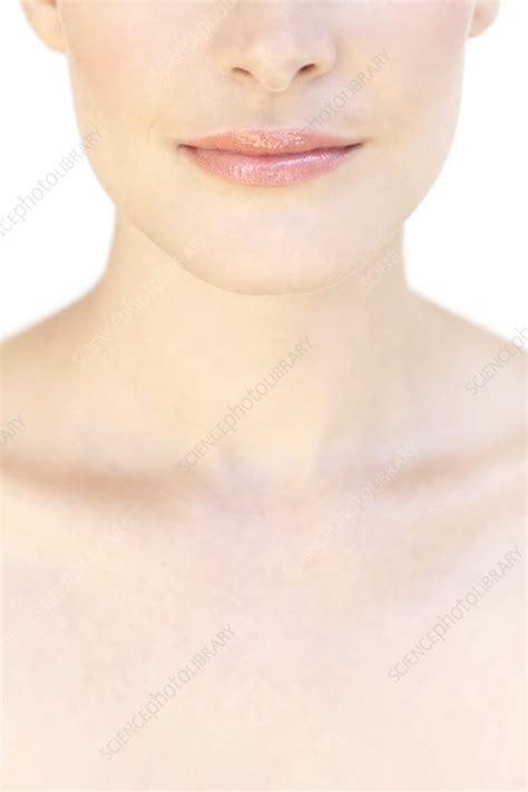 Womans Upper Chest Stock Image F0067049 Science Photo Library