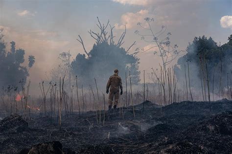 Polícia Federal faz operação contra incêndios criminosos no Pantanal