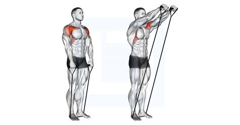 Standing Y Raise Guide Benefits And Form
