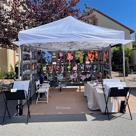 Fremont Festival Of The Arts Marin Open Studios