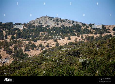 Ida Mountain Kaz Daglari In Der Türkei Auf Türkisch Kazdagi Was