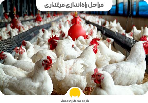 صفر تا 100 راه اندازی مرغداری گروه نرم افزاری محک