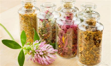 Natural Healing With Naturopathic Medicine New Beauty Wellness