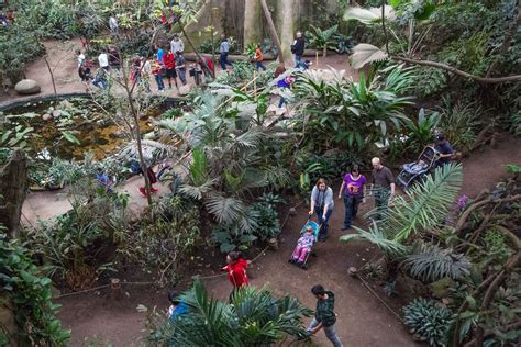 Photos The Henry Doorly Zoos Lied Jungle Through The Years Living