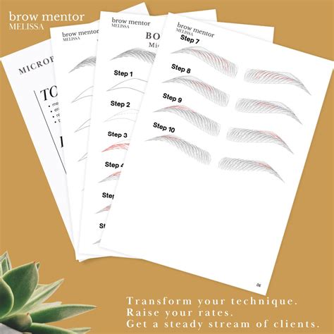 Bold Brows Step By Step Microblading Pattern Microblading Stroke