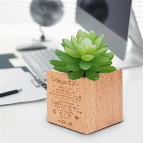 Gototop Planteur Succulent Jardini Re Succulente Pot De Fleur En Bois