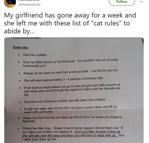 A Letter To Someone About Their Cat