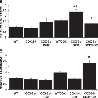 Expression Of Apoptosis Related Genes DRAK2 A And Bcl XL B After