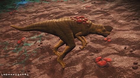 Rex Rnmscoordinateexchange
