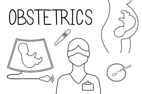 jeu d icônes d obstétrique échographie fécondation artificielle