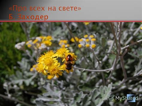 Презентация на тему: "День Земли Символ Дня Земли Зелёная греческая ...