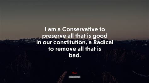 I Am A Conservative To Preserve All That Is Good In Our Constitution A Radical To Remove All