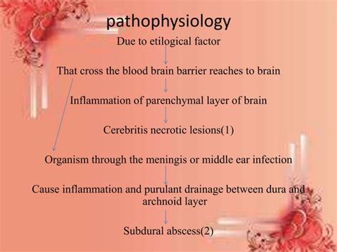 Brain Abscess Pptx