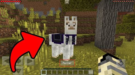 Como Domesticar El Nuevo Mob De Minecraft Pe Todo Sobre Las Llamas