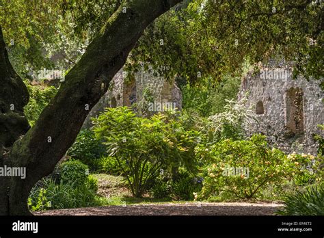 Ninfa Latina Lazio Italy A Spectacular Romantic Landscape Garden Set Among The Ruins Of A