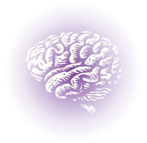 Brain Retro Anatomic Etching Royalty Free Vector Image