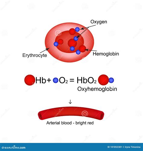 Hemoglobin Cartoons, Illustrations & Vector Stock Images - 1364 ...