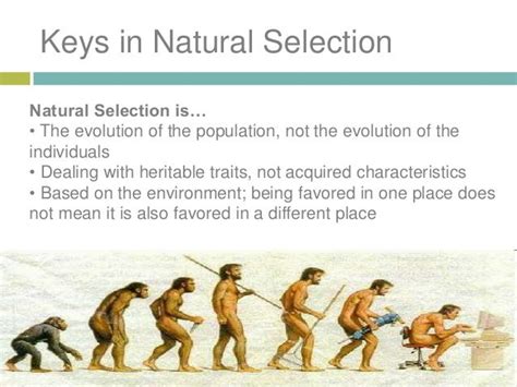 Theory Of Evolution Of Natural Selection By Darwin