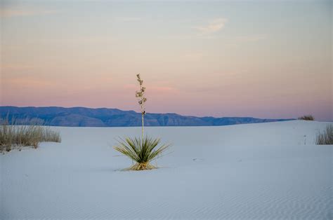 White Sands National Park - Right Kind Of Lost