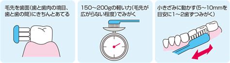 適切な歯の磨き方｜恵優会 歯科ブログ｜医療法人 恵優会