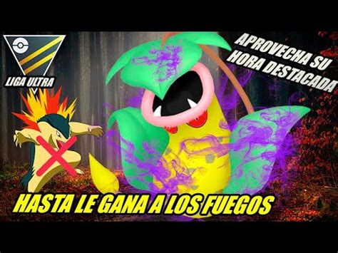 Sin Hoja Afilada El B Sico Mas Spammer De Victreebel Shadow Nivel