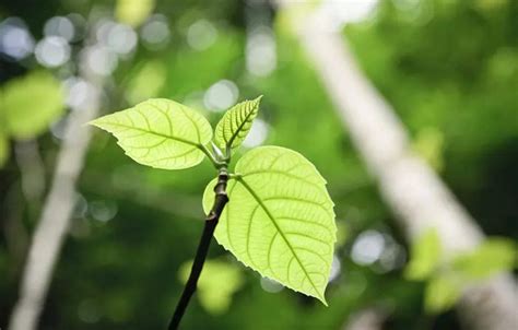 climate finance  developed countries  developing nations hits