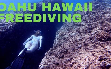 Oahu Snorkeling At Sharks Cove Hawaii Hawaii Activities And Tours