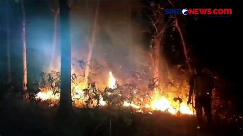 Diduga Sengaja Dibakar Hutan Jati Seluas 5 Hektare Hangus Terbakar