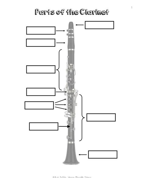 Parts of the Clarinet Diagram | Quizlet