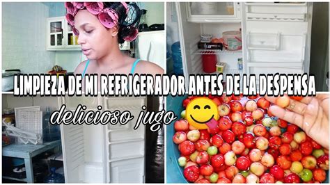 Como Limpiar Y Desinfectar Tu Refrigerador Con Simples Pasos Youtube