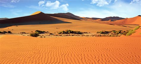 "Namib Naukluft" Images – Browse 915 Stock Photos, Vectors, and Video ...