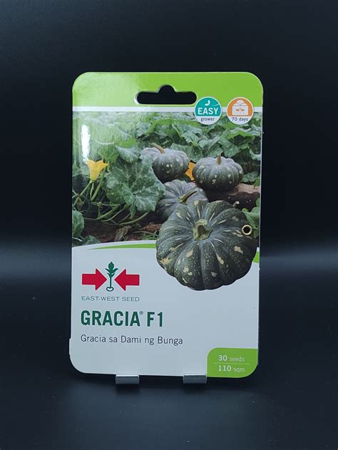 EAST WEST SEED GRACIA F1 HYBRID PUMPKIN CALABASA SEEDS POUCH 30