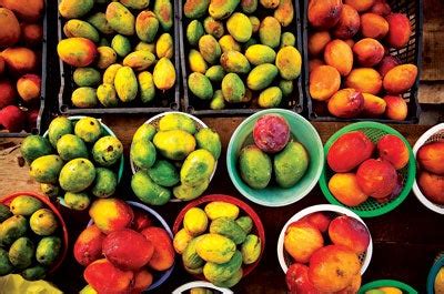 A Guide to Mexican Grocery Stores in the United States | Saveur