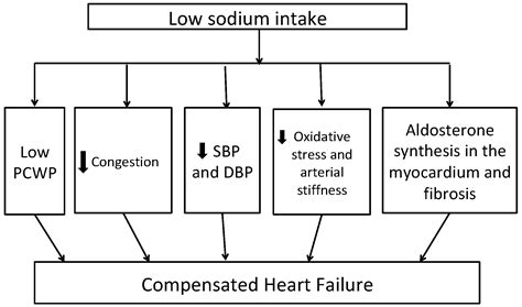 Ijms Free Full Text Sodium Intake And Heart Failure