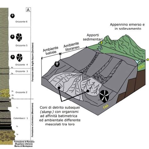 Inquadramento Geologico E Geografico Dellarea Oggetto Di Studio Da