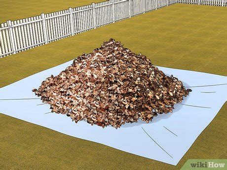 How to Rake Leaves: 16 Hacks and Tips to Make Cleanup Easy