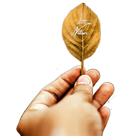 Icon Finger Hand Hold Leaf Png