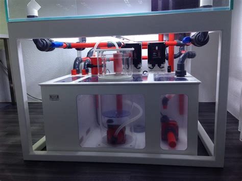 Red Plumbing Reef Central Online Community Saltwater Aquarium Setup