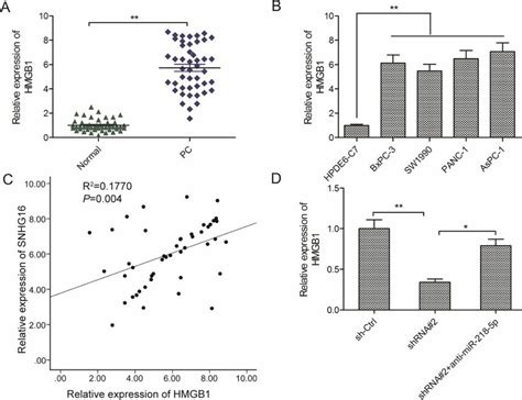 SNHG16 Mediate HMGB1 Expression Through Sponging MiR 218 5p A The