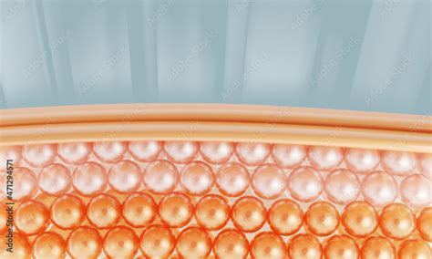 3d skin layer of the skin cell, cell microscope. skin up. 3d rendering ...