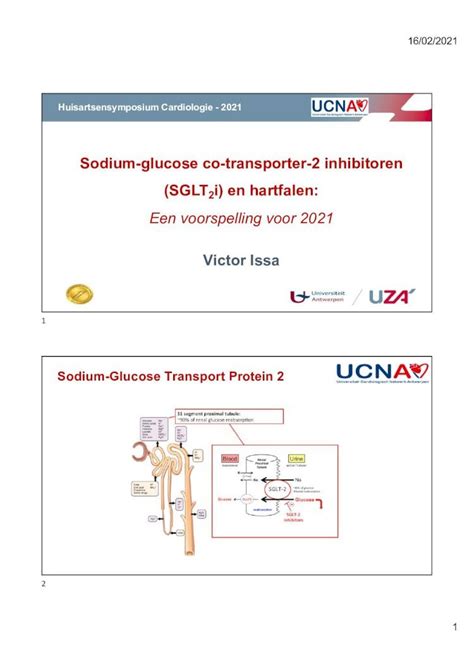 Pdf Sodium Glucose Co Transporter 2 Inhibitoren Sglt I En 1602