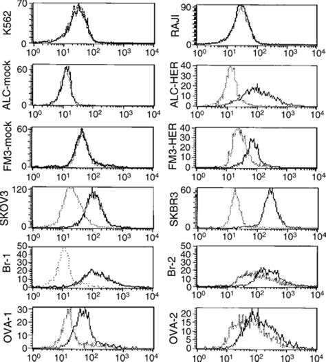 Facs Analysis Of Immuofluorescence Staining Of Her Neu Alc Her