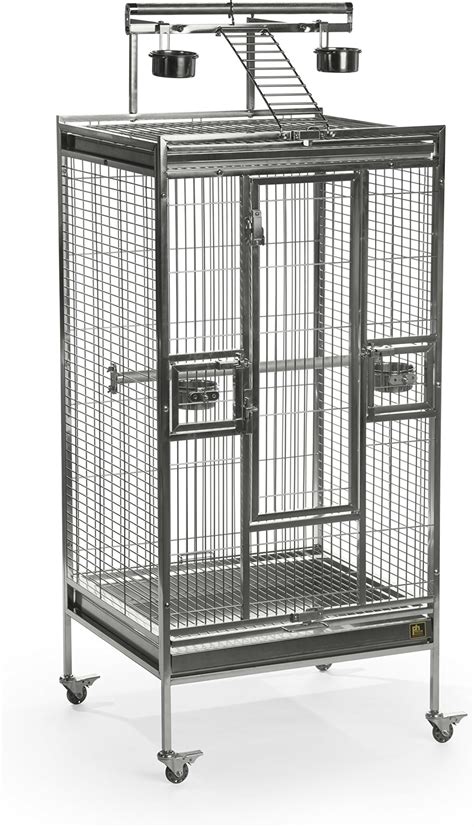 Westernpacific Large 304 Stainless Steel Bird Parrot Macaw