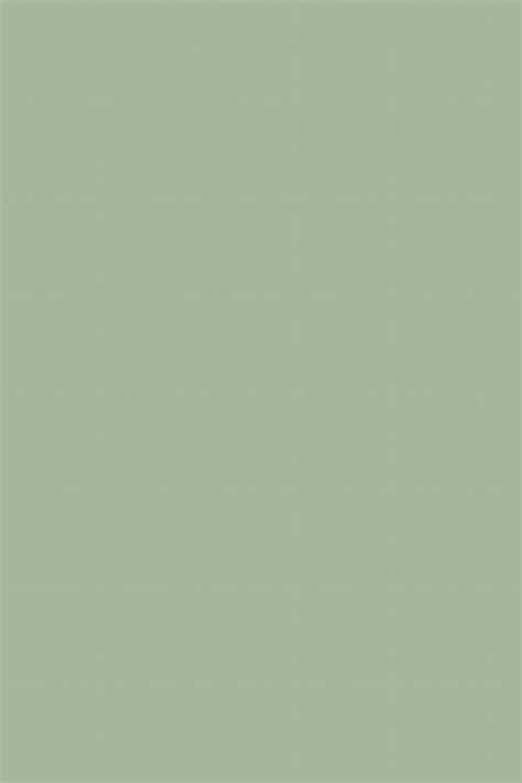 Sage Green Solid color wallpaper Peel & Stick / Non-pasted
