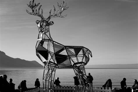 Deer Sculpture Photos Download The Best Free Deer Sculpture Stock