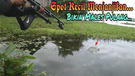 Spot Kecil Menjanjikan Selalu Poin Strike Senapan Ikan Paser Paralon