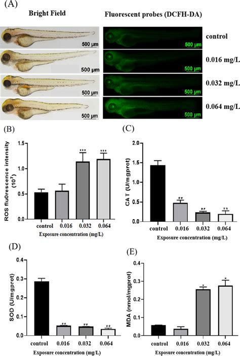 Fenpropathrin Exposure Induced Oxidative Stress In Zebrafish Embryos