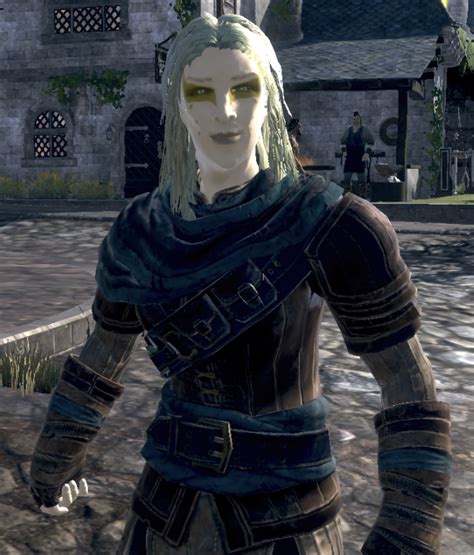 Categoryblades Bosmer Elder Scrolls Fandom