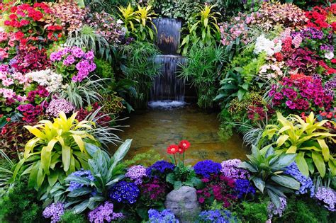 20 Inspirational Garden Flower Photos Garden Lovers Club